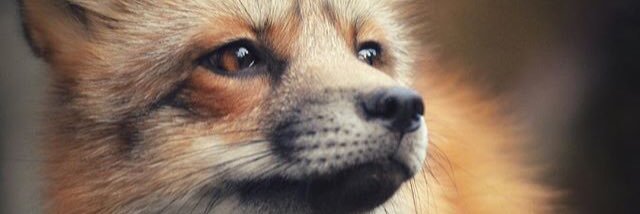 DootyEmJ's profile banner image