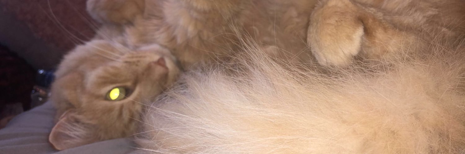 KyleeLoynes's profile banner image