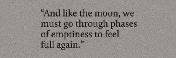 llemurn Profile Banner