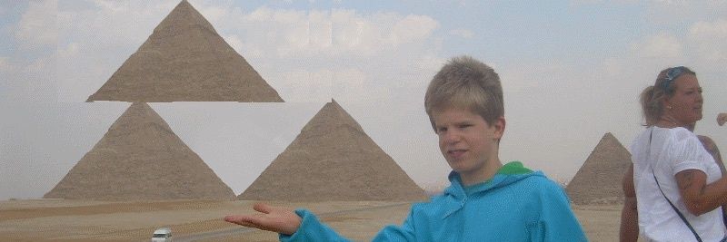 IgnoramusBot's profile banner image
