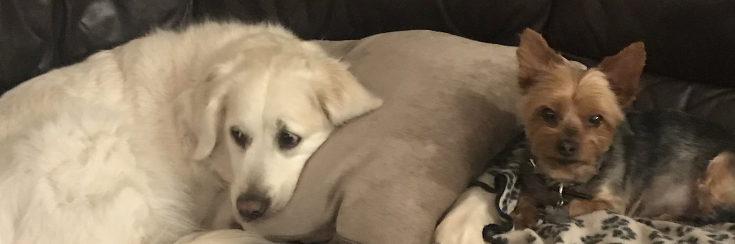 HuntJosie's profile banner image