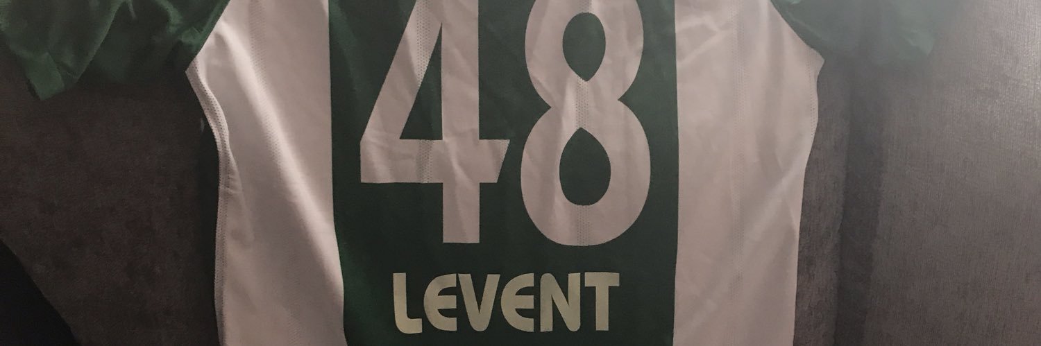 levendimu's profile banner image
