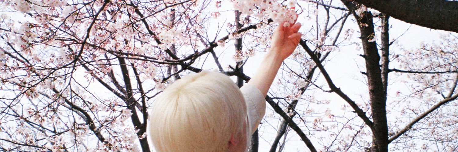 Fairyland banner