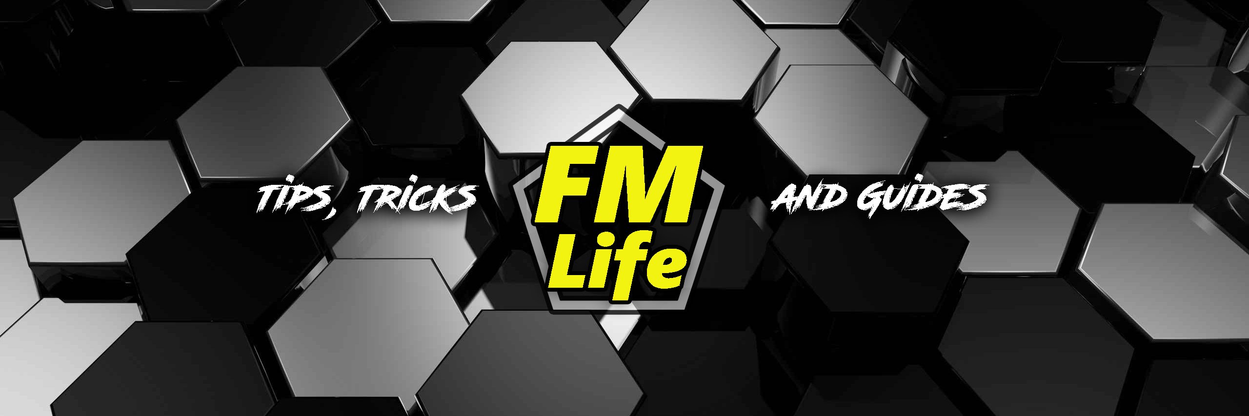 FMLife2016's profile banner image
