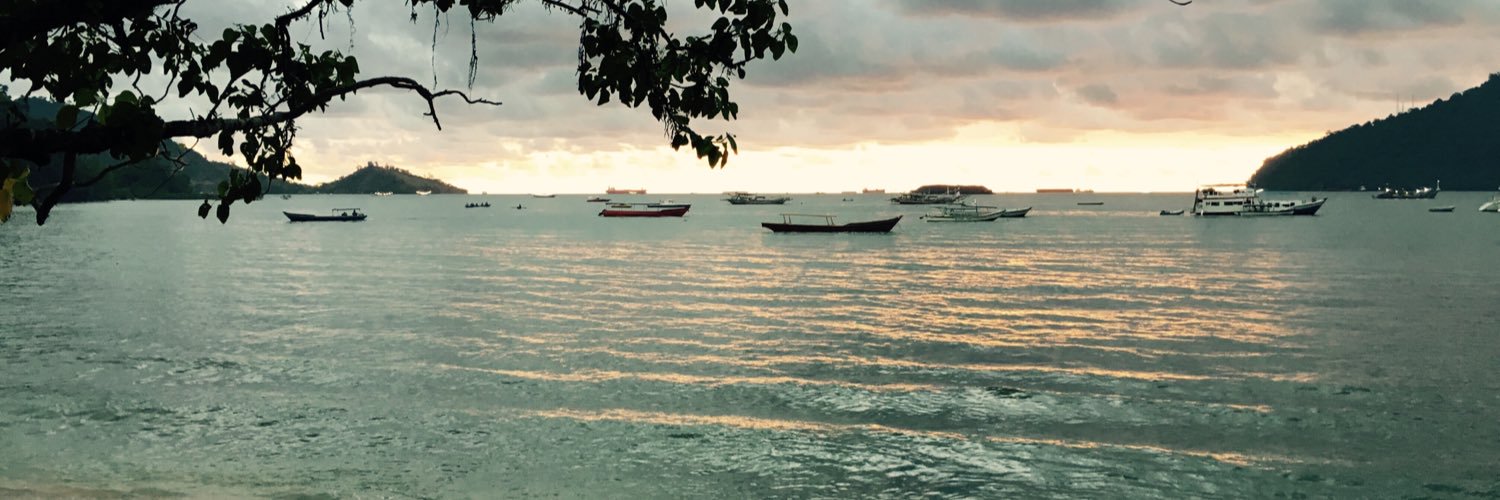 DanielAdamaly's profile banner image