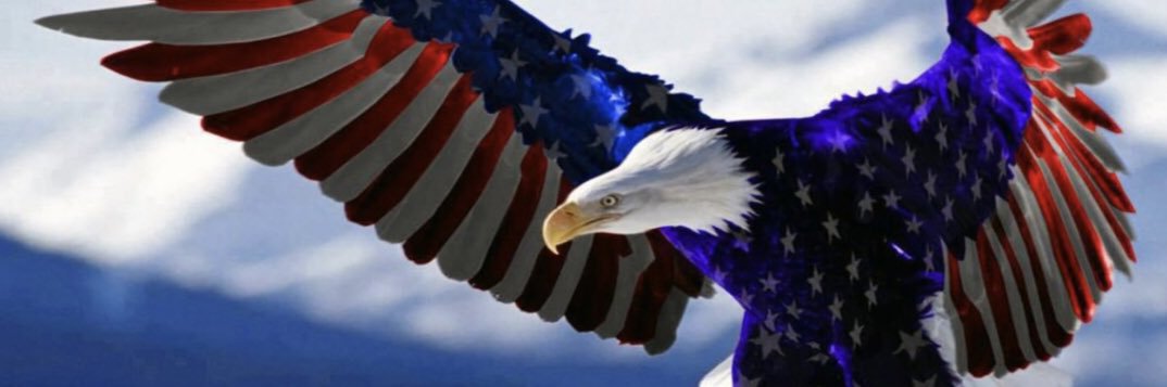 - THE HELLYWOOD REPORTER - 🇺🇸 banner