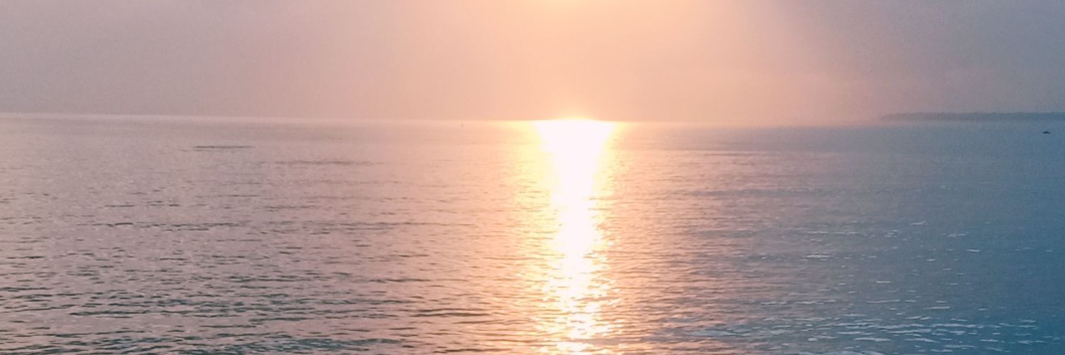 linwayo's profile banner image