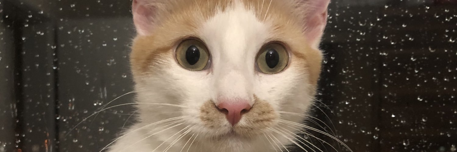 adanrdn's profile banner image