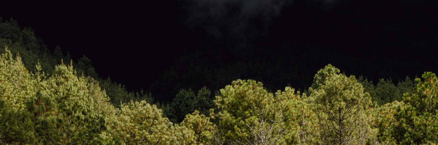 mariamariarrm's profile banner image