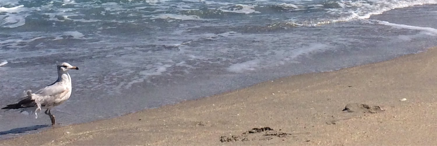 Danczyk24's profile banner image