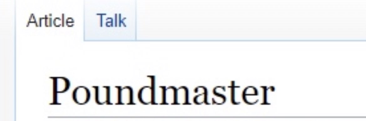 okaystaple's profile banner image
