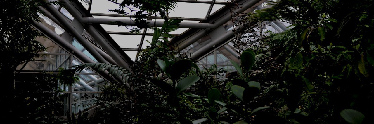 Dear_Insanity__'s profile banner image