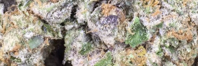 SCdabber420's profile banner image