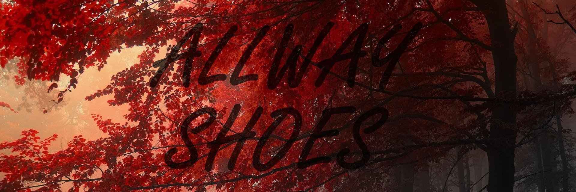 allwayshoes's profile banner image
