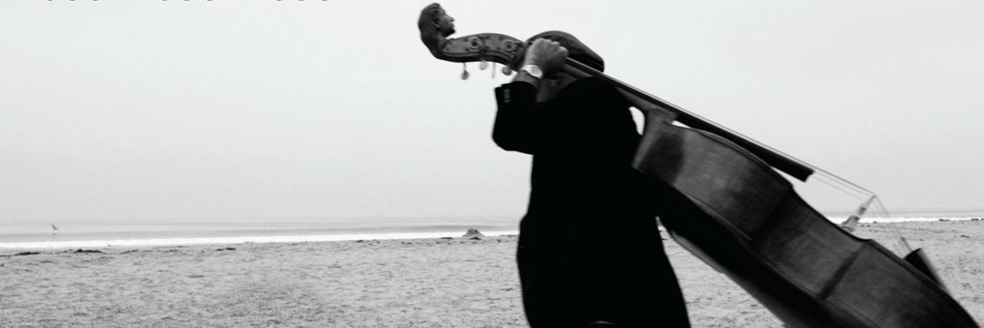 Roberto Vally banner