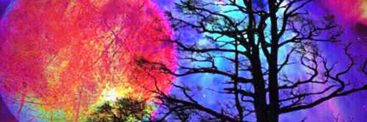 AliiiGee's profile banner image