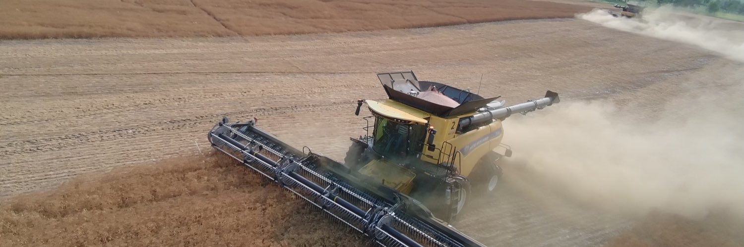 Les McLaughlin banner