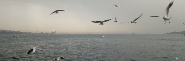 a_g_kaw Profile Banner