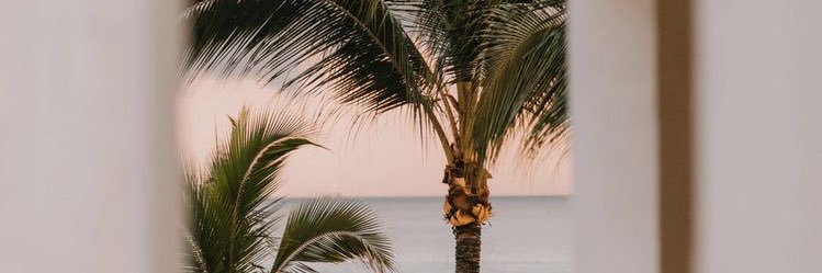 lemchloe's profile banner image