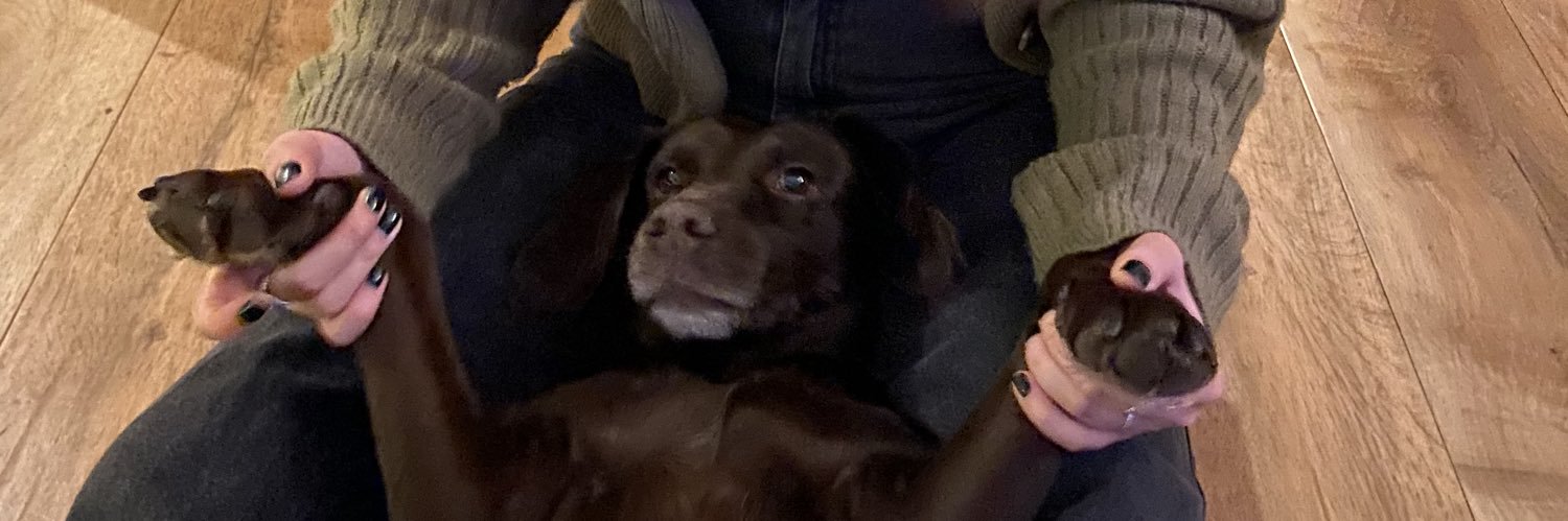 hollymillea's profile banner image