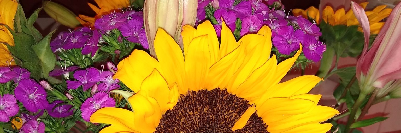 LiPalesa_Moek's profile banner image