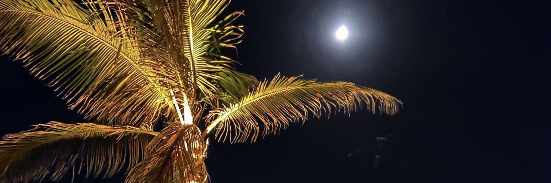 F_B_A_K's profile banner image