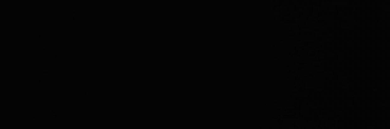 LenoxFerdinand's profile banner image