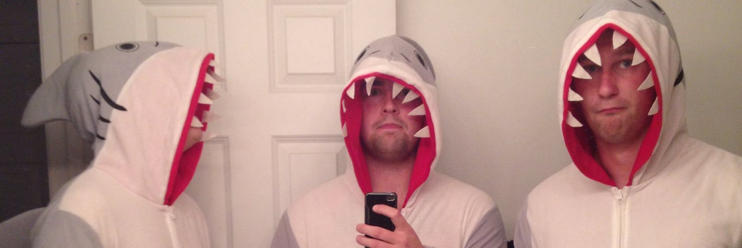 swenaaron's profile banner image