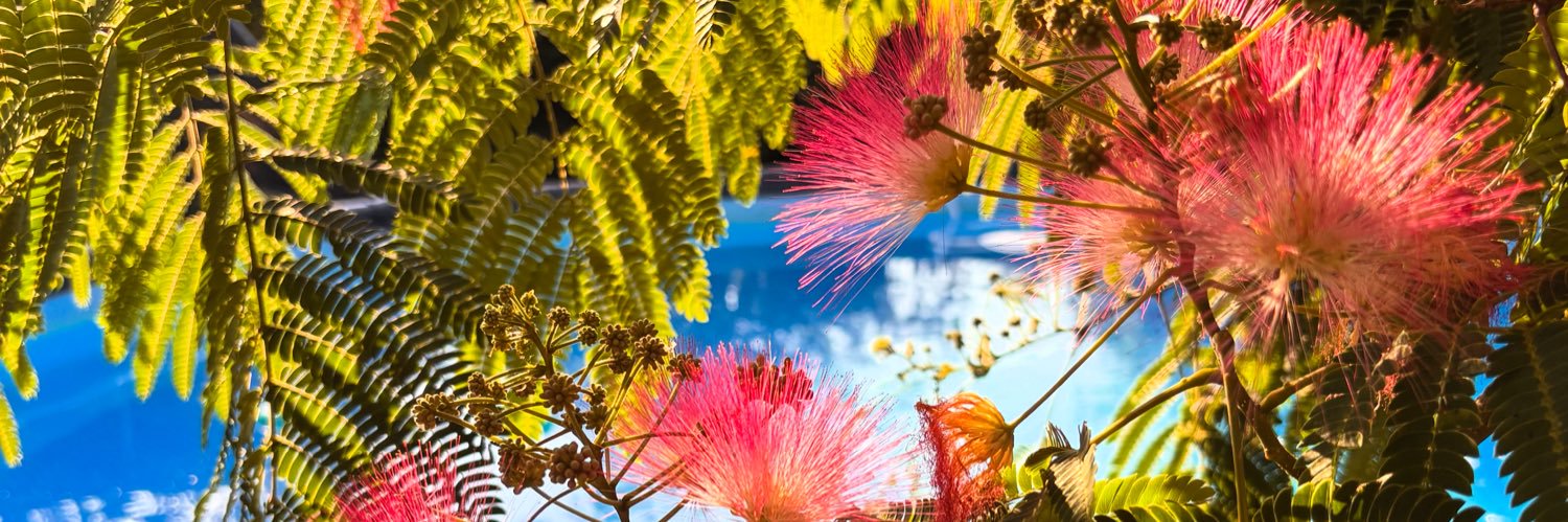 Lieutenant Starbuck banner