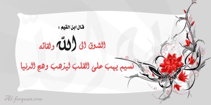 h09876h's profile banner image