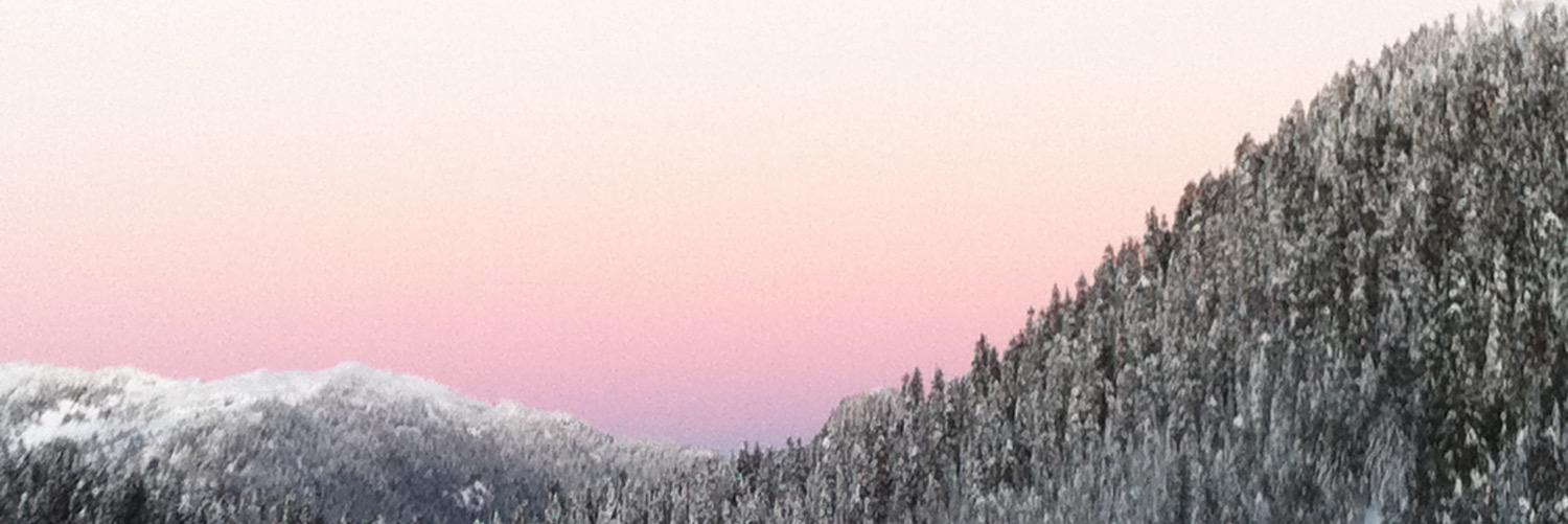 Loganmurray16's profile banner image