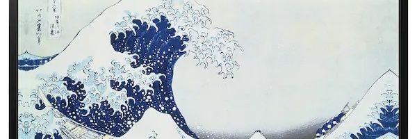 Nan D. Fernández banner