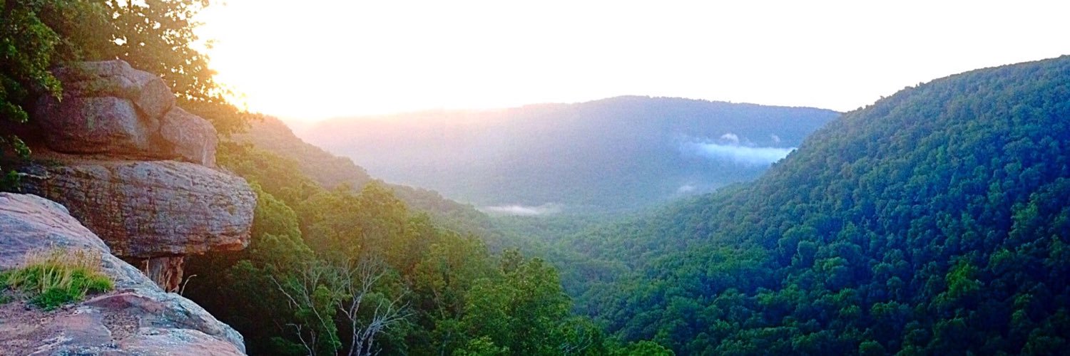 cdavidson_34's profile banner image