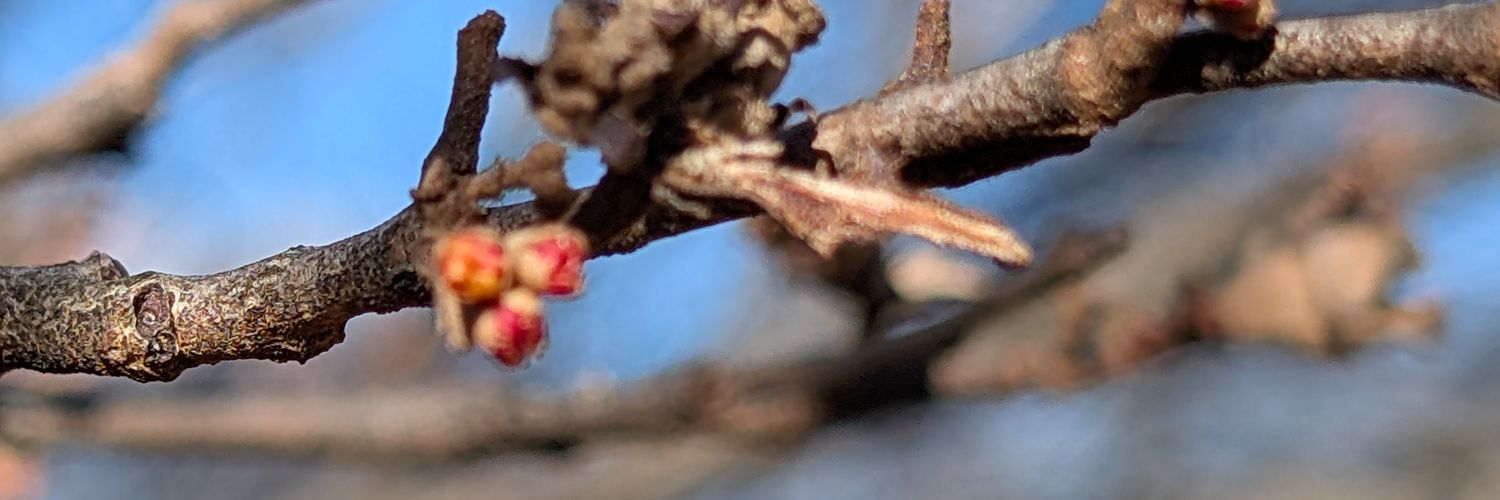 Keith Dennison ⚓ banner