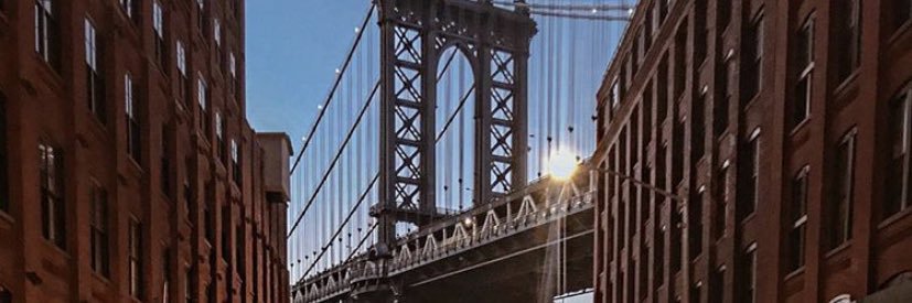 jaz banner