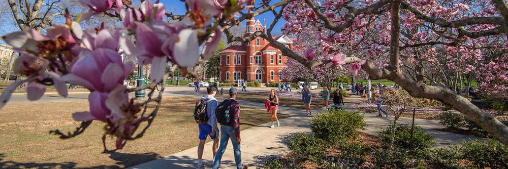 UM Liberal Arts banner