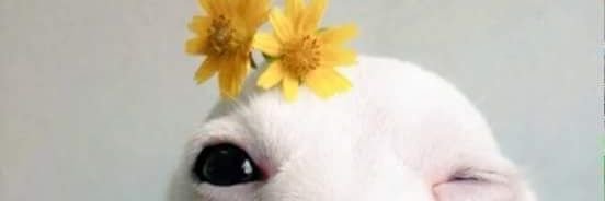 Filmntspb's profile banner image