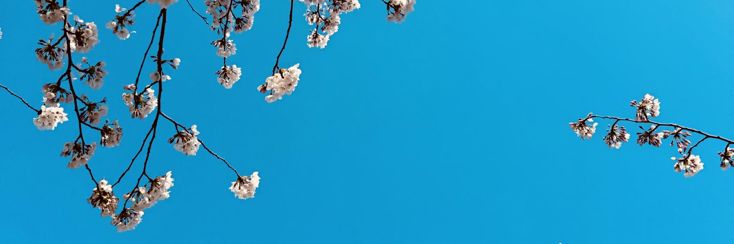 pg25c_c25o's profile banner image