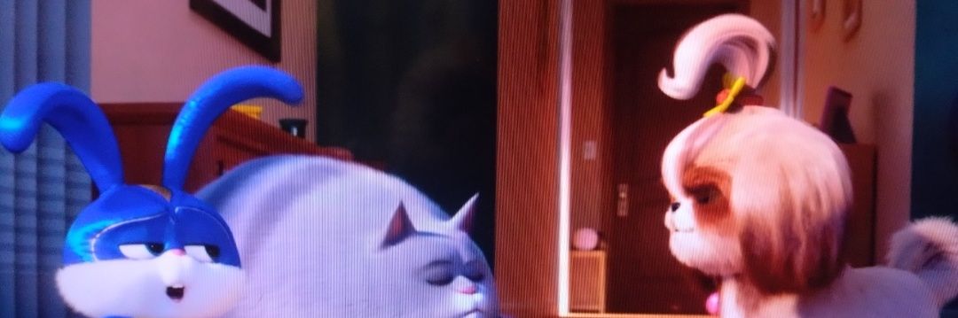 junkersMMBPB14's profile banner image