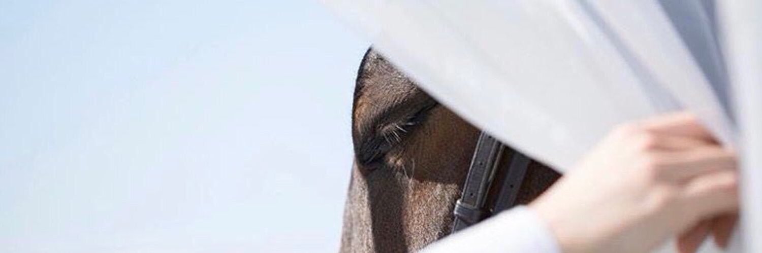 __BAN__1's profile banner image