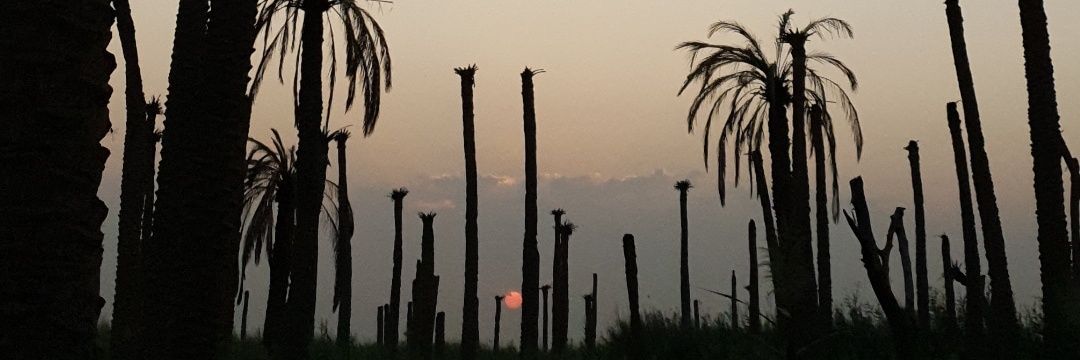 سادات موسوی's banner