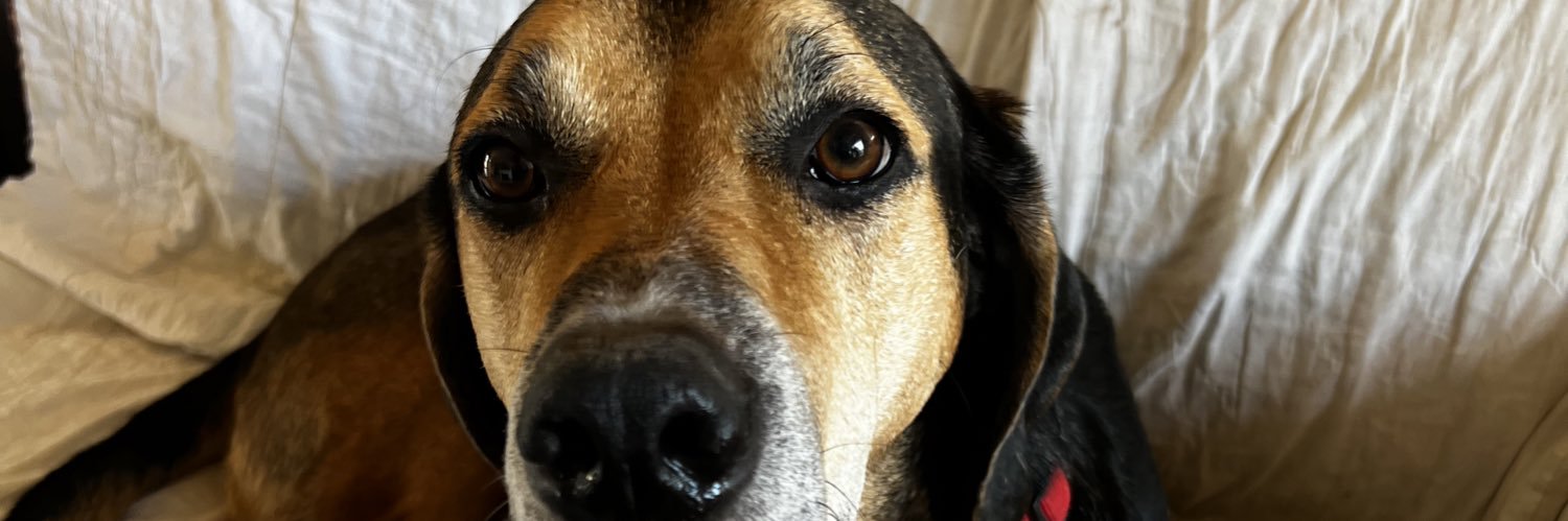 DruDoneIt's profile banner image