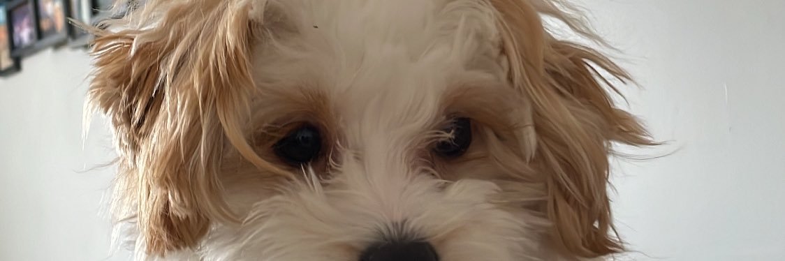 frjay_'s profile banner image