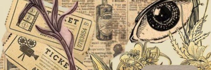 sofia banner