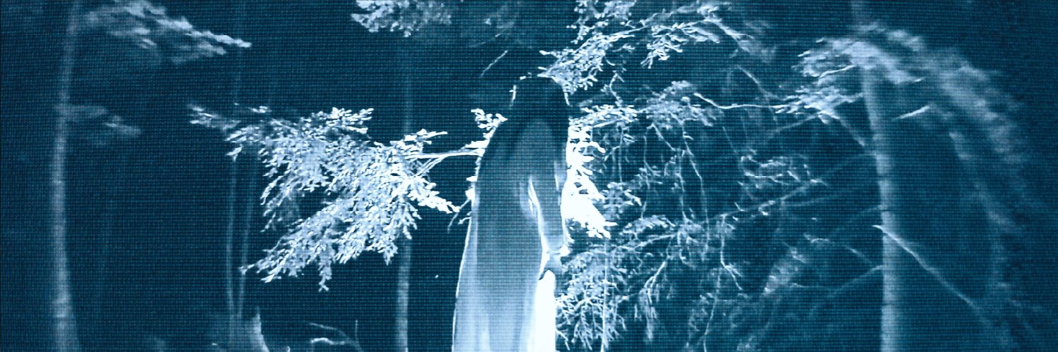 voidxwitch's profile banner image