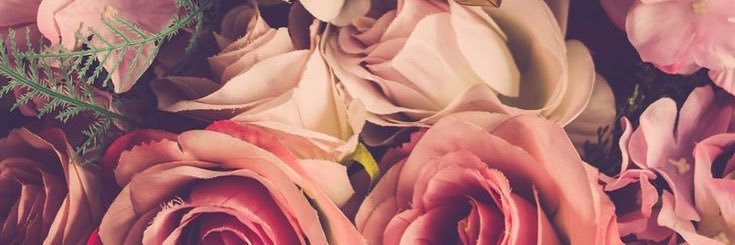 CarolinaParra07's profile banner image