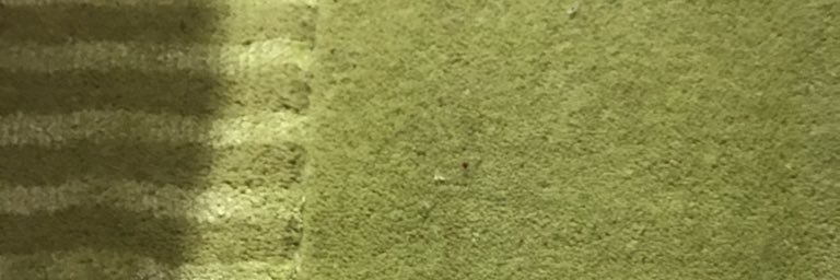 armingabela's profile banner image