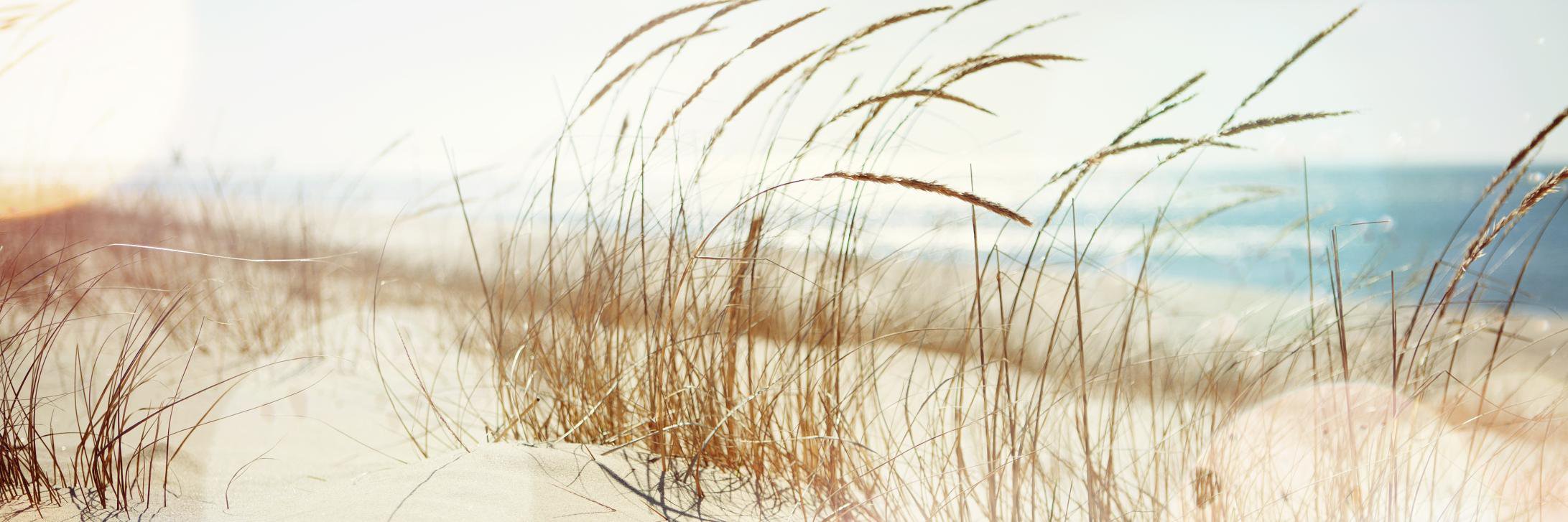 hicks_eloise's profile banner image