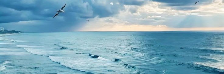 Maydelein92's profile banner image