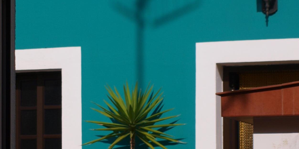 ttafonso's profile banner image